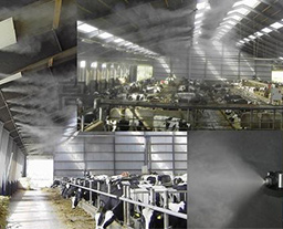 養(yǎng)殖2 養(yǎng)殖2